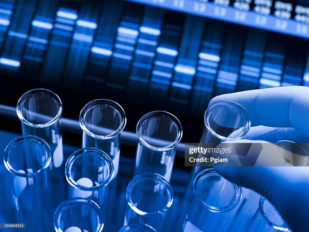 Zenetic Lab Genetic Research At The Laboratory High-Res Stock Photo - Getty Images