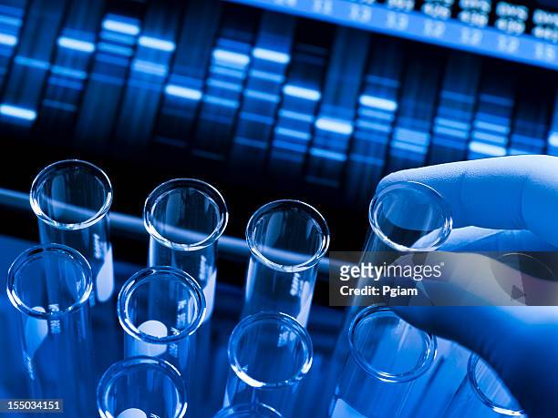 genetic research at the laboratory - genetic research 個照片及圖片檔