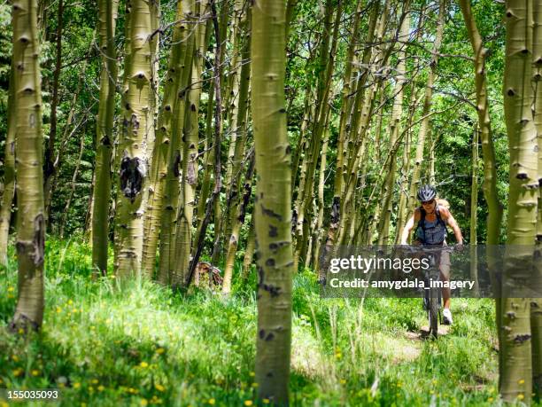 mountain biking! - taos stockfoto's en -beelden