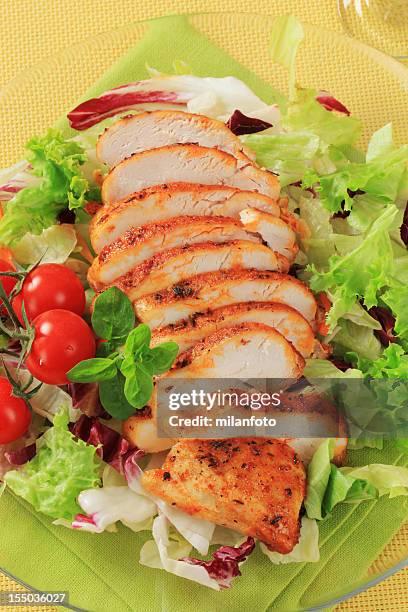 escalope de poulet marinée et salade fraîche - marinated stock photos et images de collection