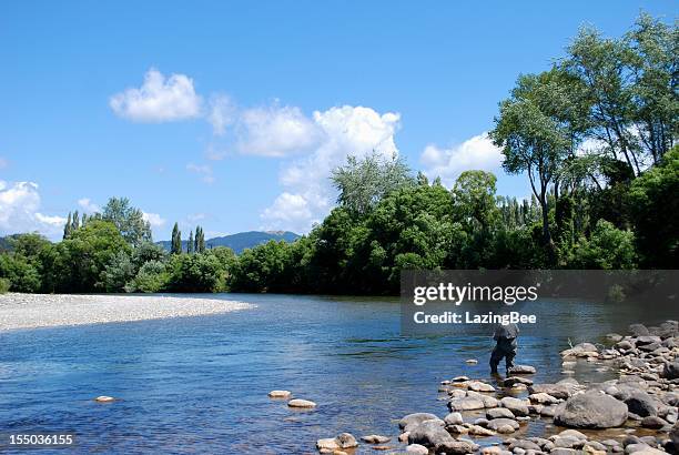 fisherman on the motueka river, tasman, nz - trout fishing stock pictures, royalty-free photos & images