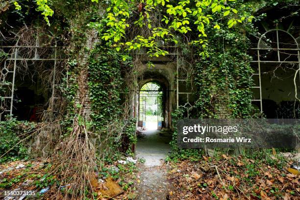 inner yard of abandoned building, overgrown - geisterstadt stock-fotos und bilder