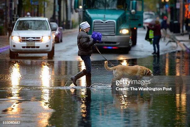 Pedestrian with her dog crosses thru the lightly flooded intersection of King and Union streets during morning high tide in the aftermath of...