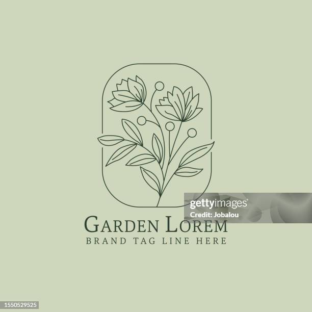 botanical organic minimalistic emblem with plant elements - botany icon stock illustrations