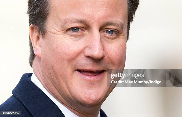 British Prime Minister David Cameron attends the ceremonial welcome for the President of the Republic of Indonesia at Horse Guards Parade on day one...