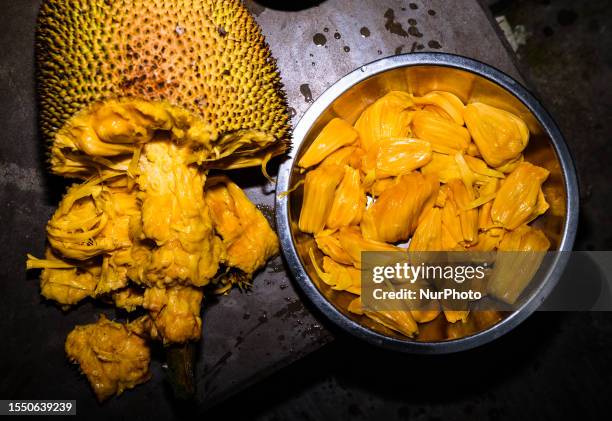 The jackfruit trees belong to the Moraceae family and grow in abundance in countries like India, Bangladesh, Sri Lanka, and other countries in...