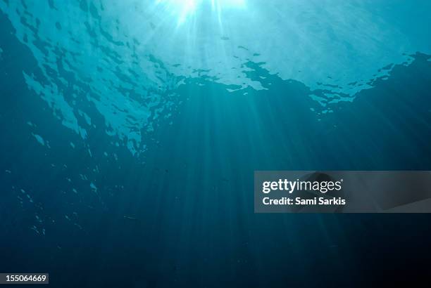 rays of sunlight shining through water - doordringen stockfoto's en -beelden