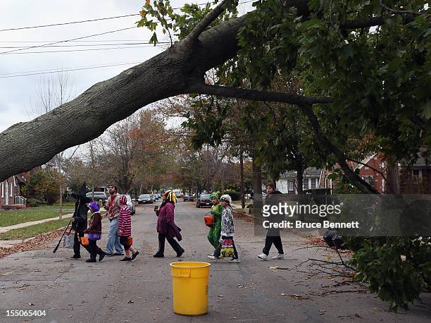 Trick-or-Treaters make their way past a downed tree in the aftermath of Hurricane Sandy on October 31, 2012 in Farmingdale, New York. The storm has...