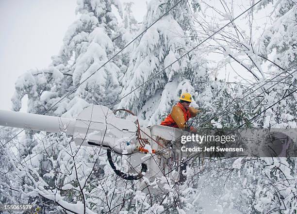 Rob Kohler, an electrical line worker from Kokomo, Indiana, clears snow-laden power lines on October 31, 2012 in Terra Alta, West Virginia. Hurricane...