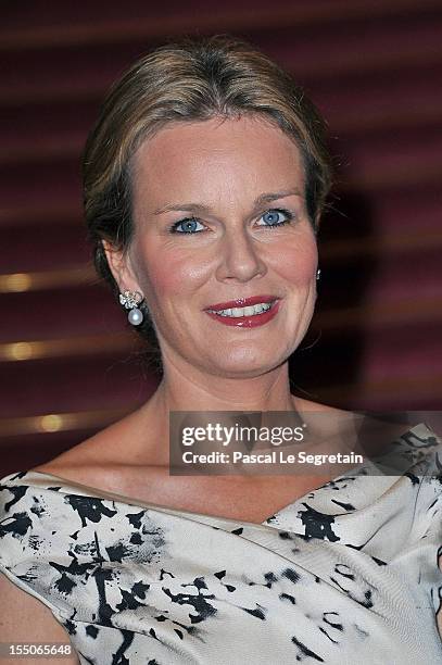 Princess Mathilde of Belgium poses as she arrives at Theatre des Champs-Elysees to attend the 'Liege A Paris' Concert performed by the Liege Royal...