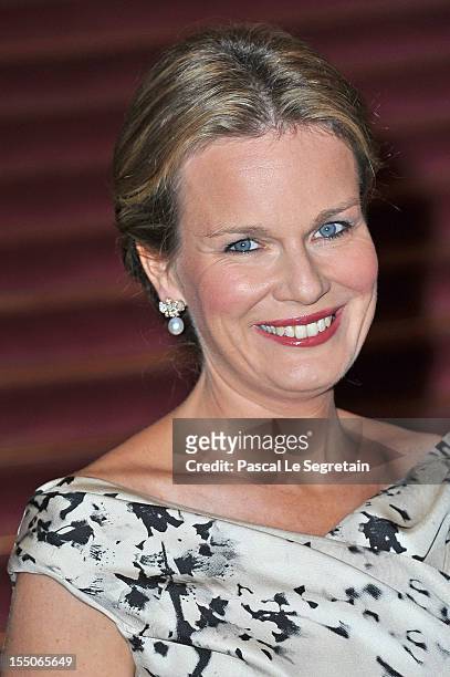 Princess Mathilde of Belgium poses as she arrives at Theatre des Champs-Elysees to attend the 'Liege A Paris' Concert performed by the Liege Royal...