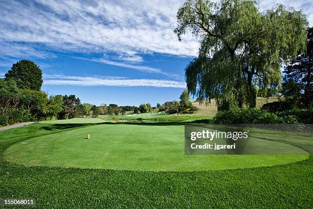campo de golfe - tee box imagens e fotografias de stock