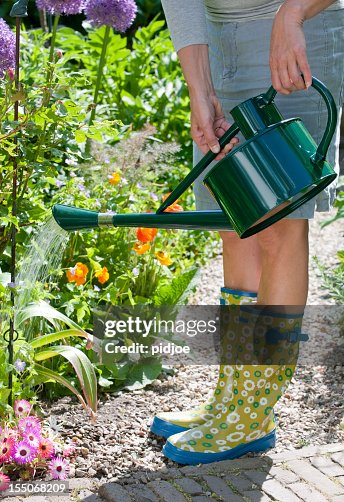 Woman watering flowers in garden Woman watering flowers in garden