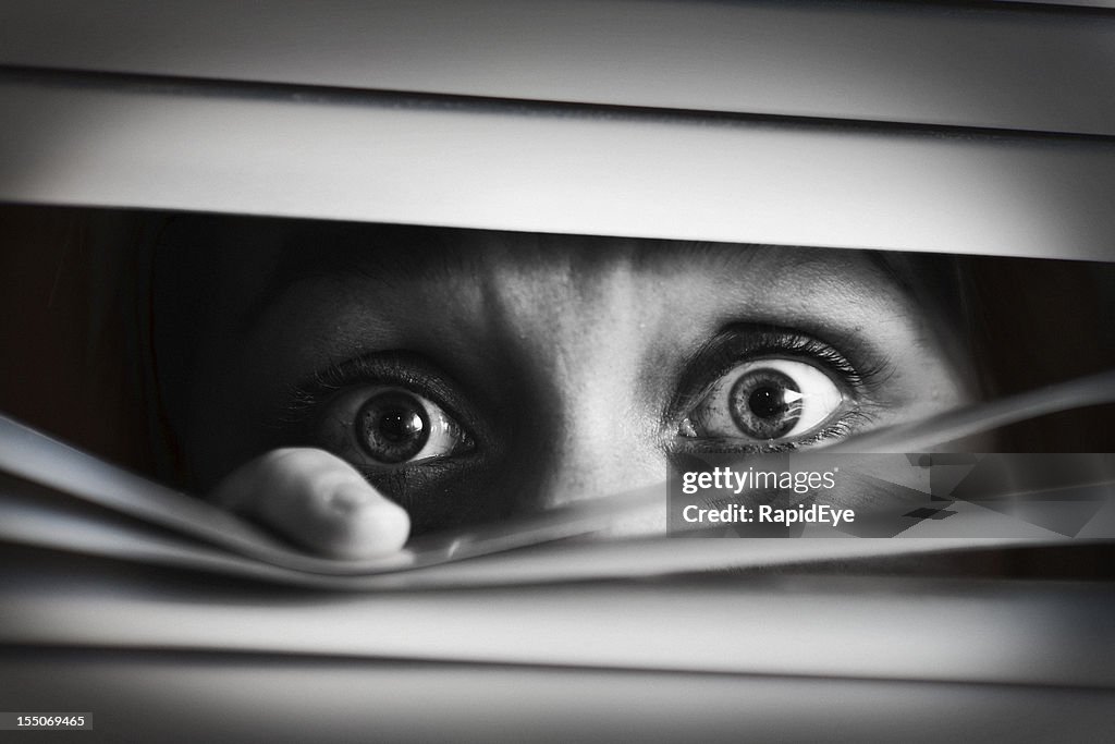 Terrified woman peeping through closed venetian blind. Black and White