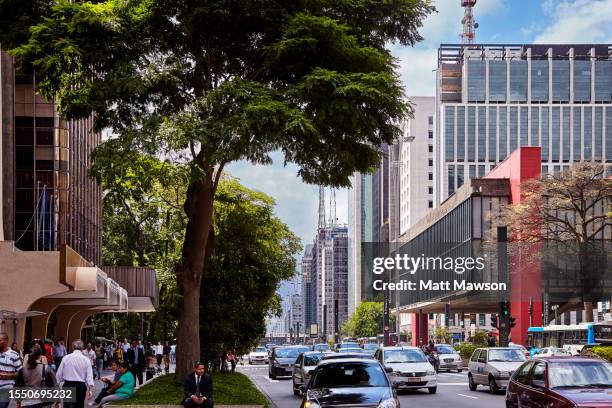 avenida paulista avenue and the são paulo museum of art brazil - avenida imagens e fotografias de stock