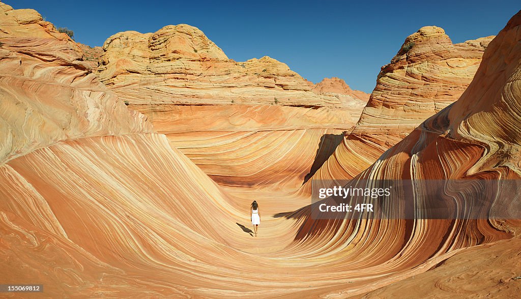 Wunder der Natur (XXXL