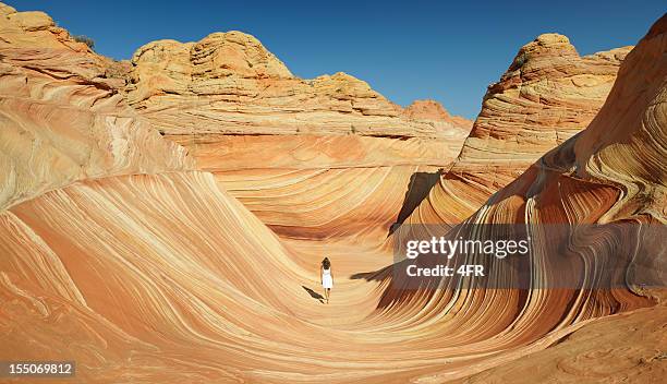 wonders of nature (xxxl) - utah nature stock pictures, royalty-free photos & images