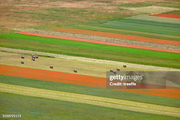 multicolored stripes - castelluccio stock pictures, royalty-free photos & images