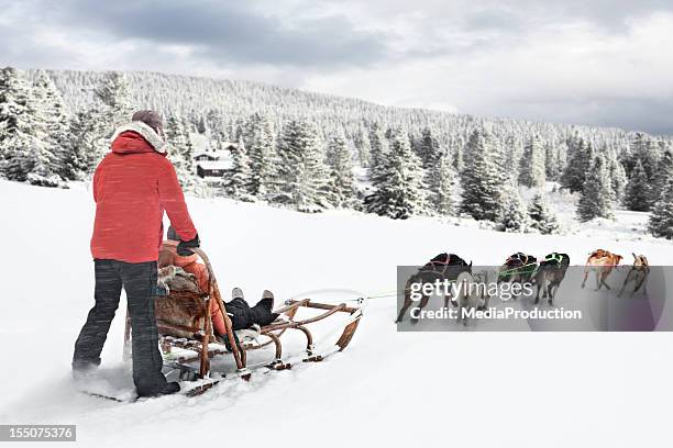 dog sledding in norway - hondensleeën stockfoto's en -beelden