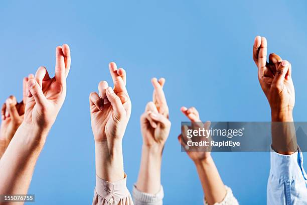 six superstitious hands, all with fingers crossed, against blue - fingers crossed stock pictures, royalty-free photos & images