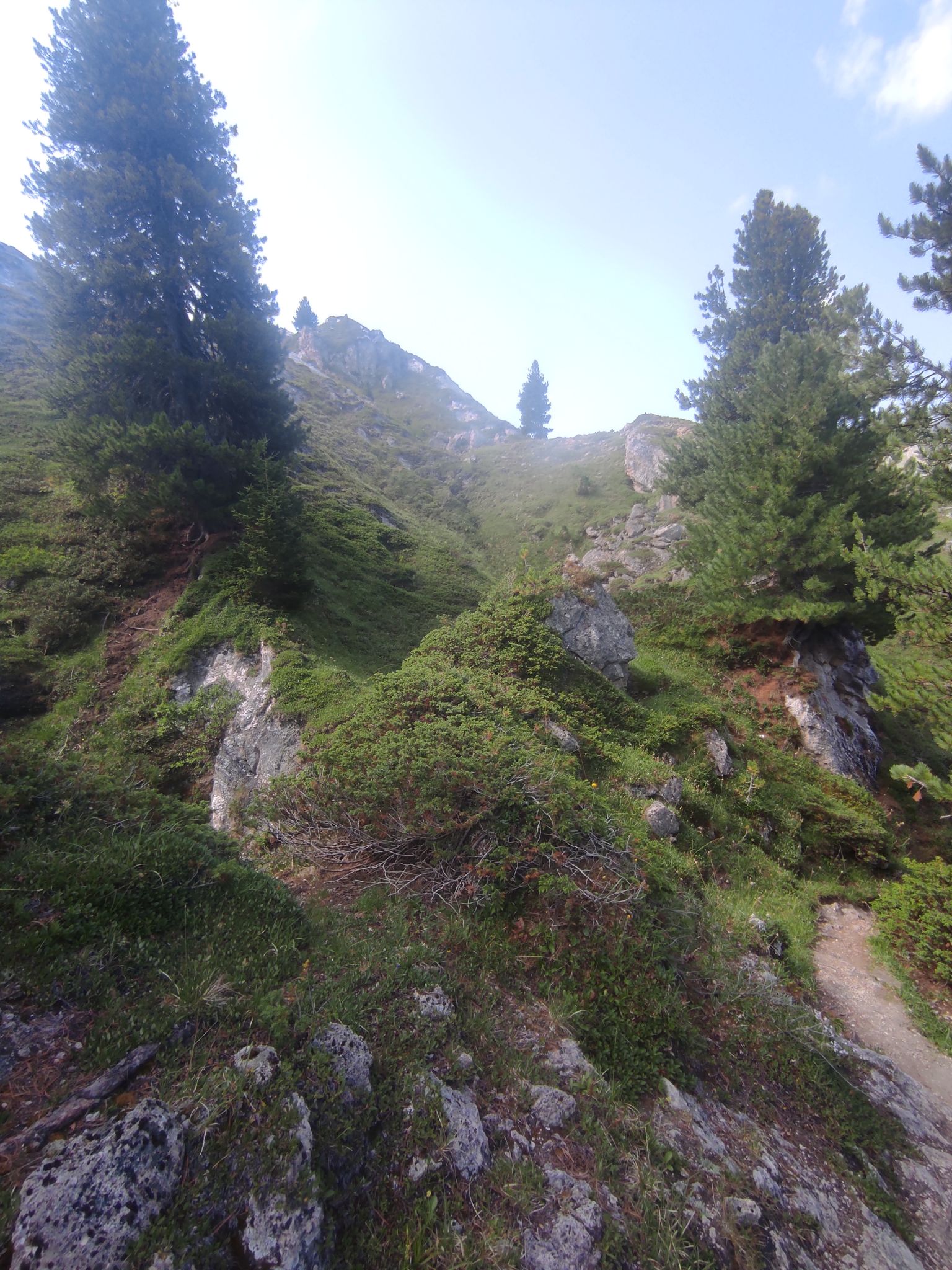 brossard attractions