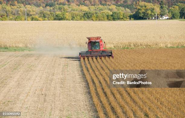 red combine harvesting fall soybean field aerial - soybean harvest stockfoto's en -beelden