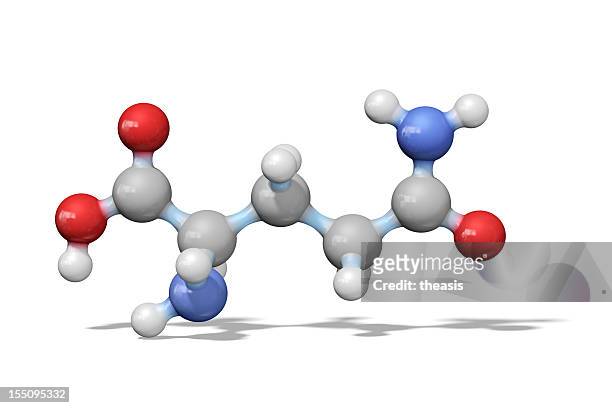 aminoacido glutammina - amino acid foto e immagini stock
