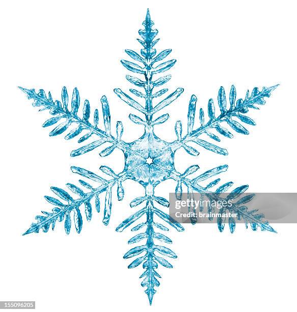 snowflake - snowflakes stockfoto's en -beelden