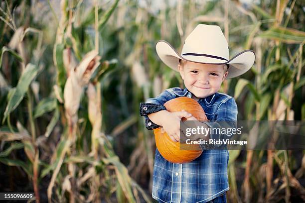 cowboy pumpkin - corn maze stock pictures, royalty-free photos & images