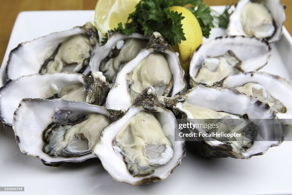 Oysters on white plate