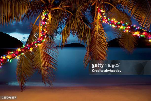 christmas at the caribbean beach - tropical climate stock pictures, royalty-free photos & images