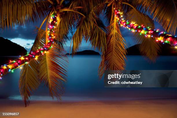 christmas at the caribbean beach - christmas palm tree stock pictures, royalty-free photos & images