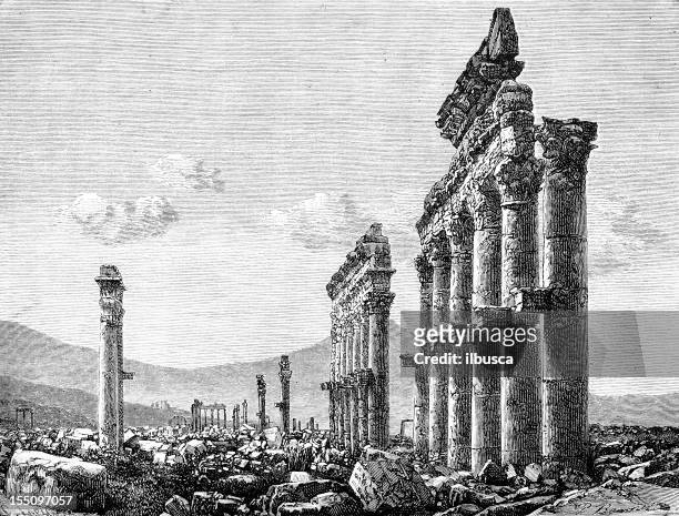 temple colonnade ruins in palmyra - palmyra syria stock illustrations