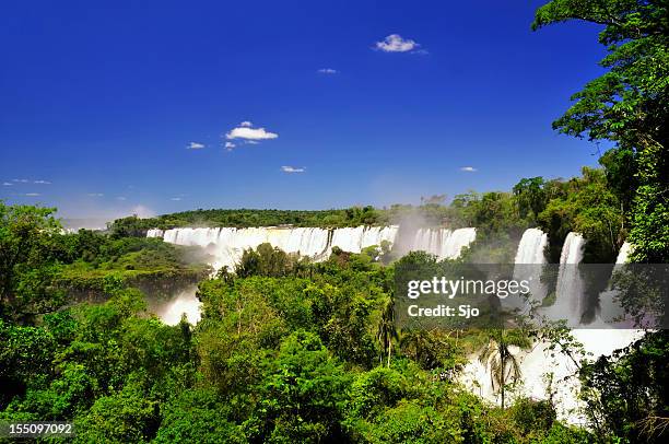 iguazu falls - foz do iguacu stock pictures, royalty-free photos & images