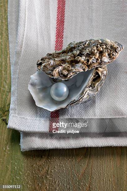 pearl in oyster shell - oyster pearl stockfoto's en -beelden