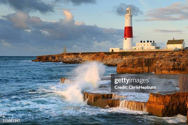 portland bill il faro - weymouth dorset foto e immagini stock