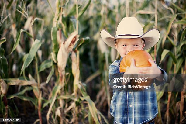 cowboy mit herbst kürbis - corn maze stock-fotos und bilder