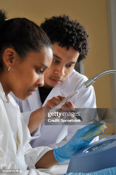 Lab Coli Scope 134 E Coli Under A Microscope Stock Photos, High-Res Pictures, and ...