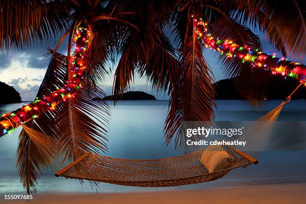 hammock between palm trees with christmas lights at the beach - decorated christmas trees outside stockfoto's en -beelden