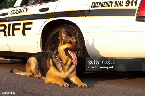 犬ユニット - 保安官 ストックフォトと画像