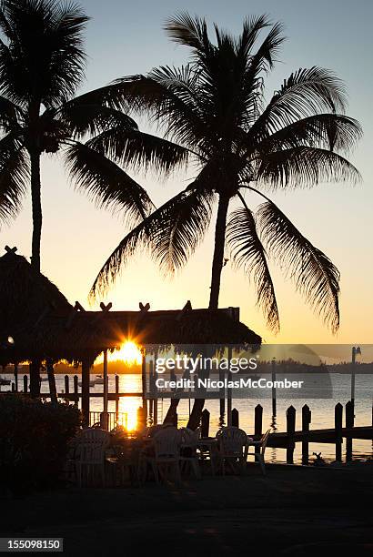 key largo sunset - beach dusk stock pictures, royalty-free photos & images