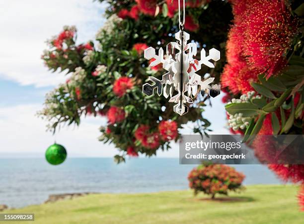 christmas in new zealand - pohutukawa flower stockfoto's en -beelden