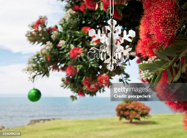 christmas in new zealand - pohutukawa tree stock pictures, royalty-free photos & images