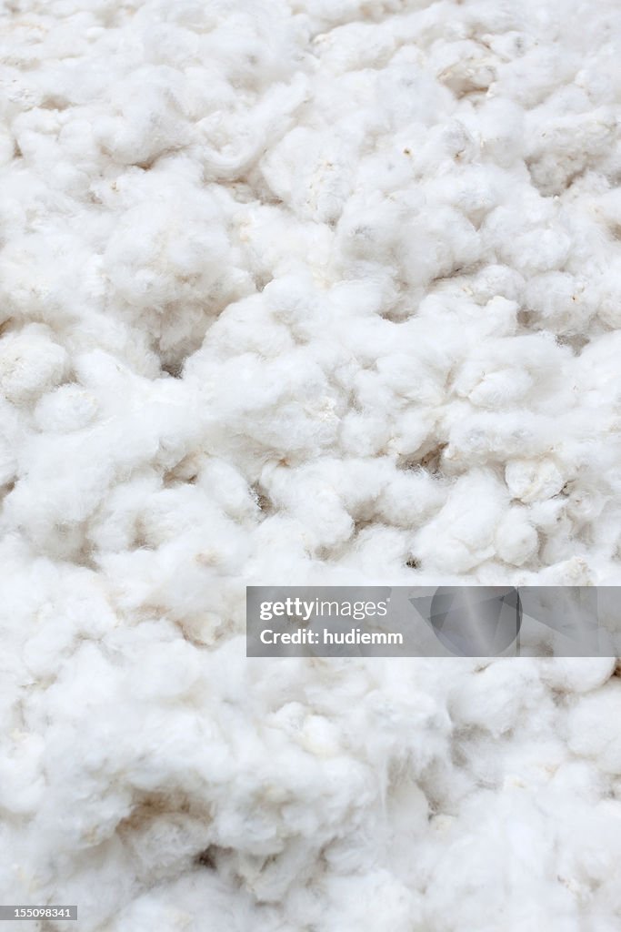 Raw Cotton Crops