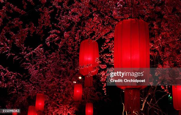 red lanterns - lantern festival cherry blossom stockfoto's en -beelden