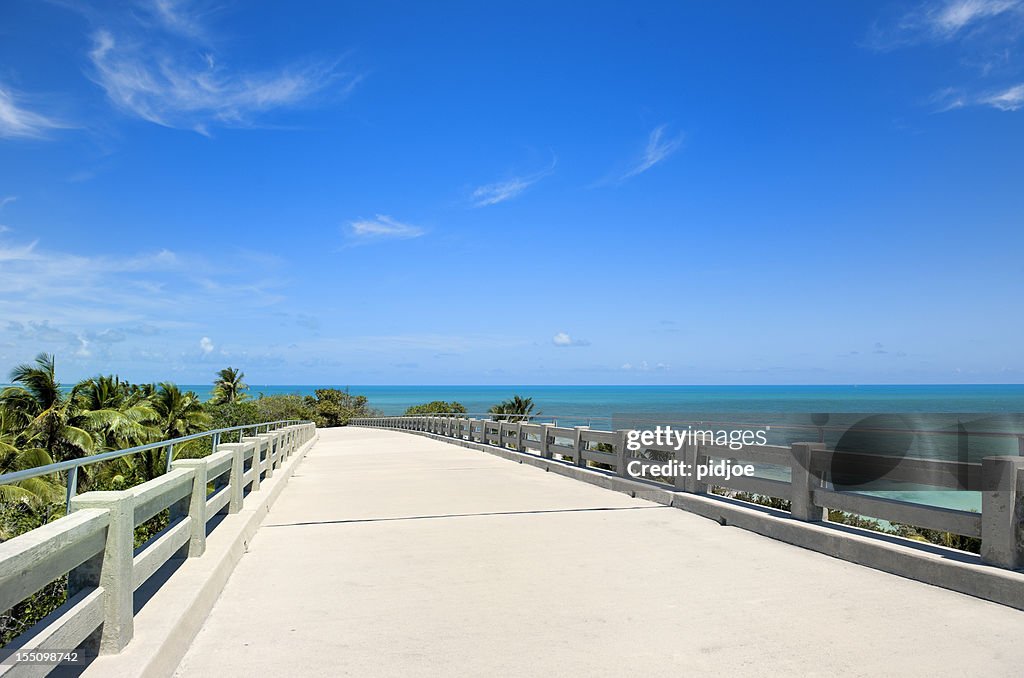 Empty elevated road near tropical beach Florida USA