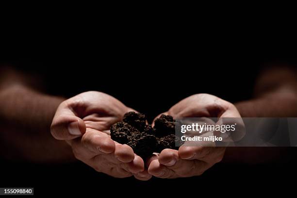 hands full of truffles over black background - truffles stock pictures, royalty-free photos & images