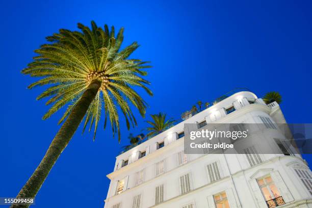 hotel facade and palm tree at sunset in cannes - cannes stock pictures, royalty-free photos & images