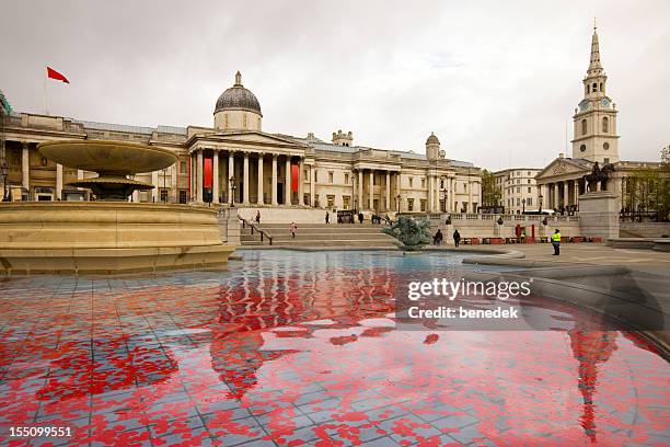 london england trafalgar square with red poppies during remembrance day - national gallery stockfoto's en -beelden