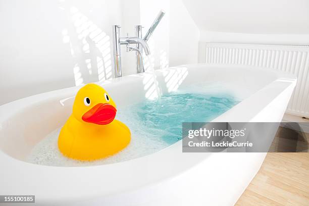 duck in a bath - red tub stock pictures, royalty-free photos & images